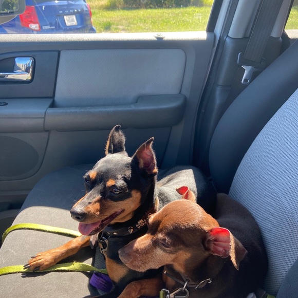 Meet your Posher, Toni - Picture 12 of 12